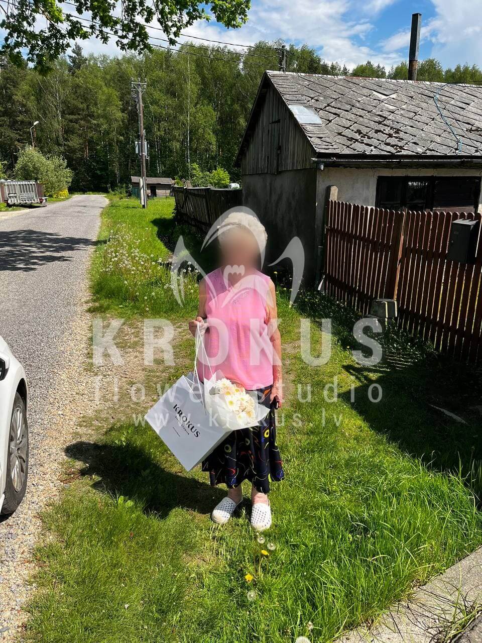 Deliver flowers to Rīga (germinidaisies)