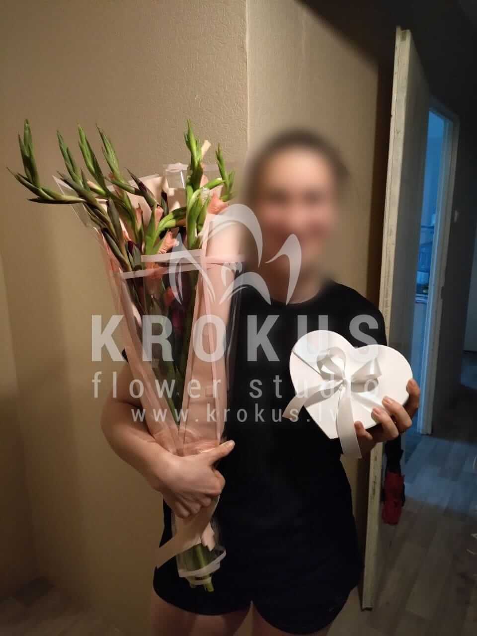 Deliver flowers to Rīga (gladioli)