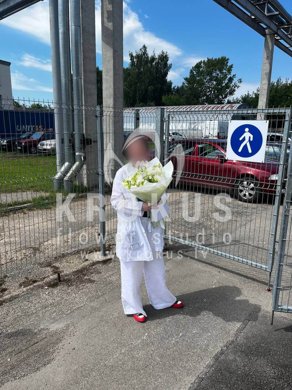 Deliver flowers to Rīga (freesia)