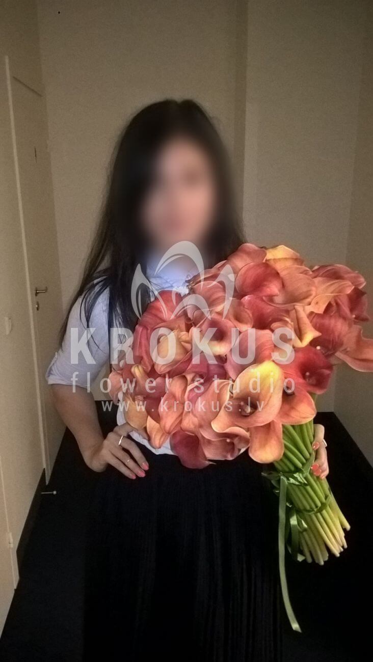 Deliver flowers to Latvia (calla lilies)