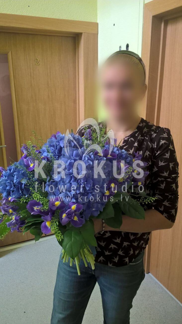Deliver flowers to Latvia (irisesgree bellhydrangeassalal)