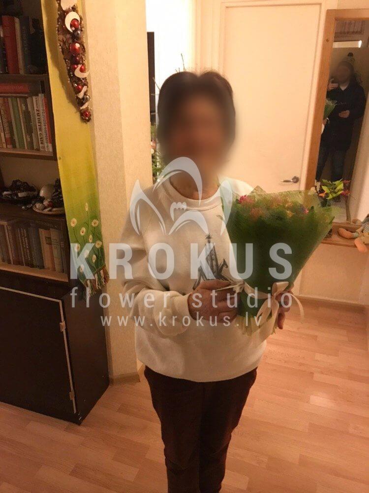 Deliver flowers to Rīga (hyacinth)
