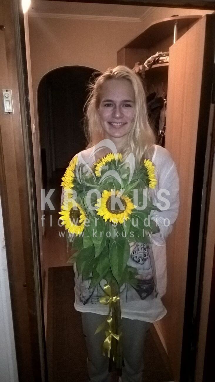 Deliver flowers to Latvia (sunflowers)