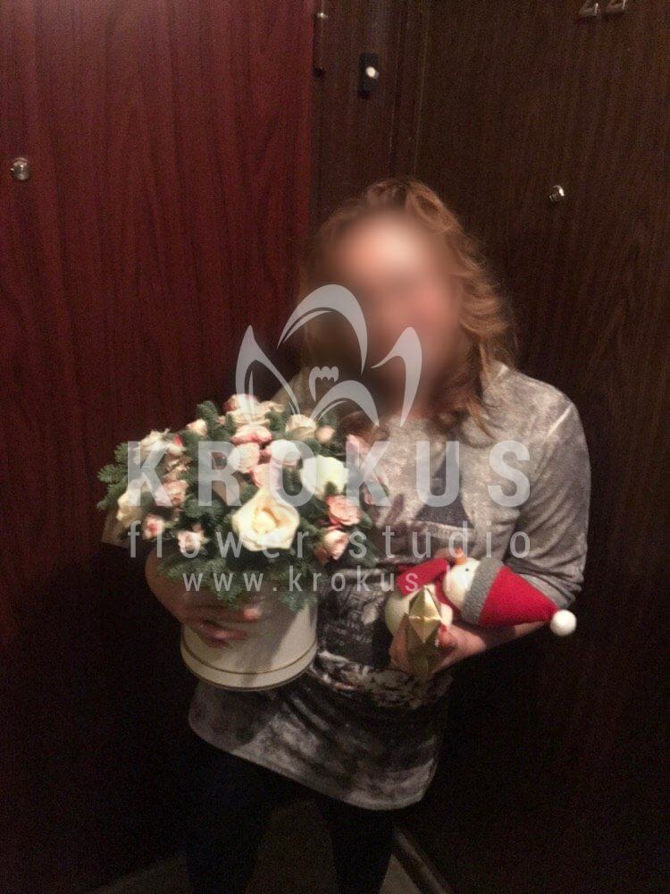 Deliver flowers to Rīga (rare flowers)