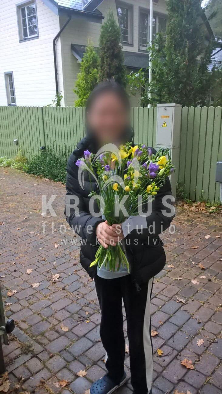 Deliver flowers to Latvia (freesia)