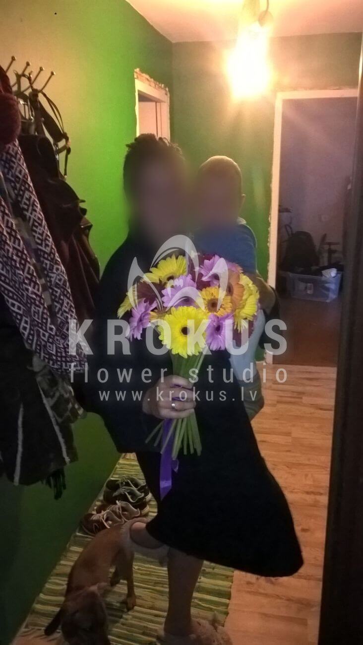 Deliver flowers to Latvia (germini)