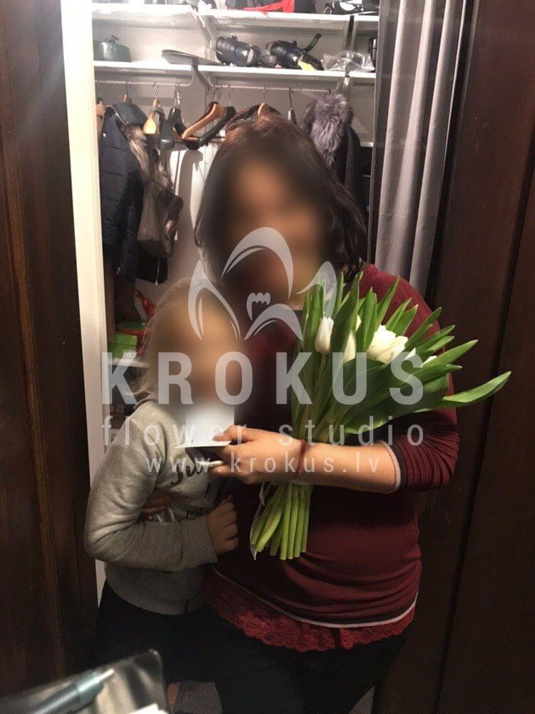 Deliver flowers to Rīga (tulips)