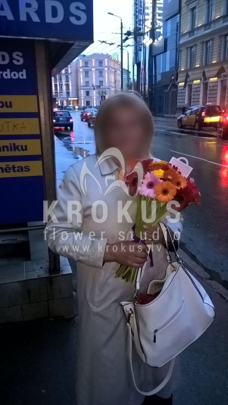 Deliver flowers to Latvia (germini)