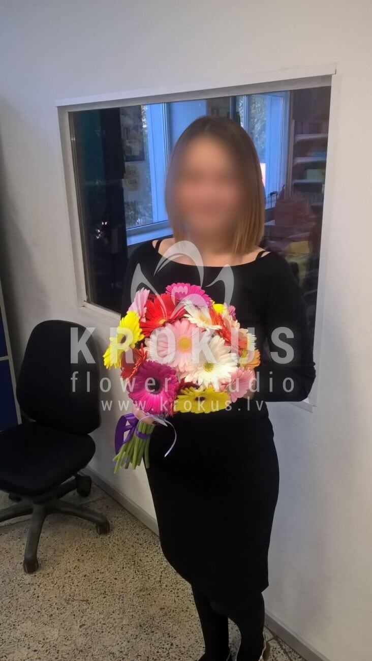 Deliver flowers to Latvia (germini)