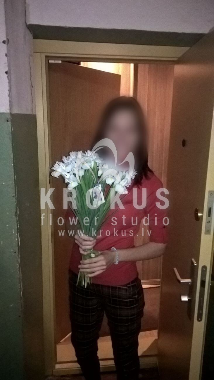 Deliver flowers to Latvia (irises)