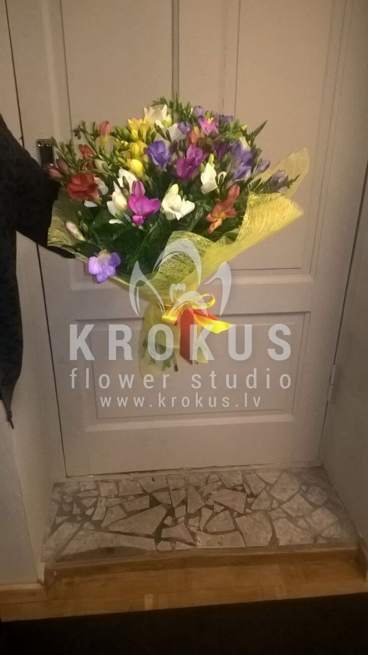 Deliver flowers to Latvia (freesiaamborella)