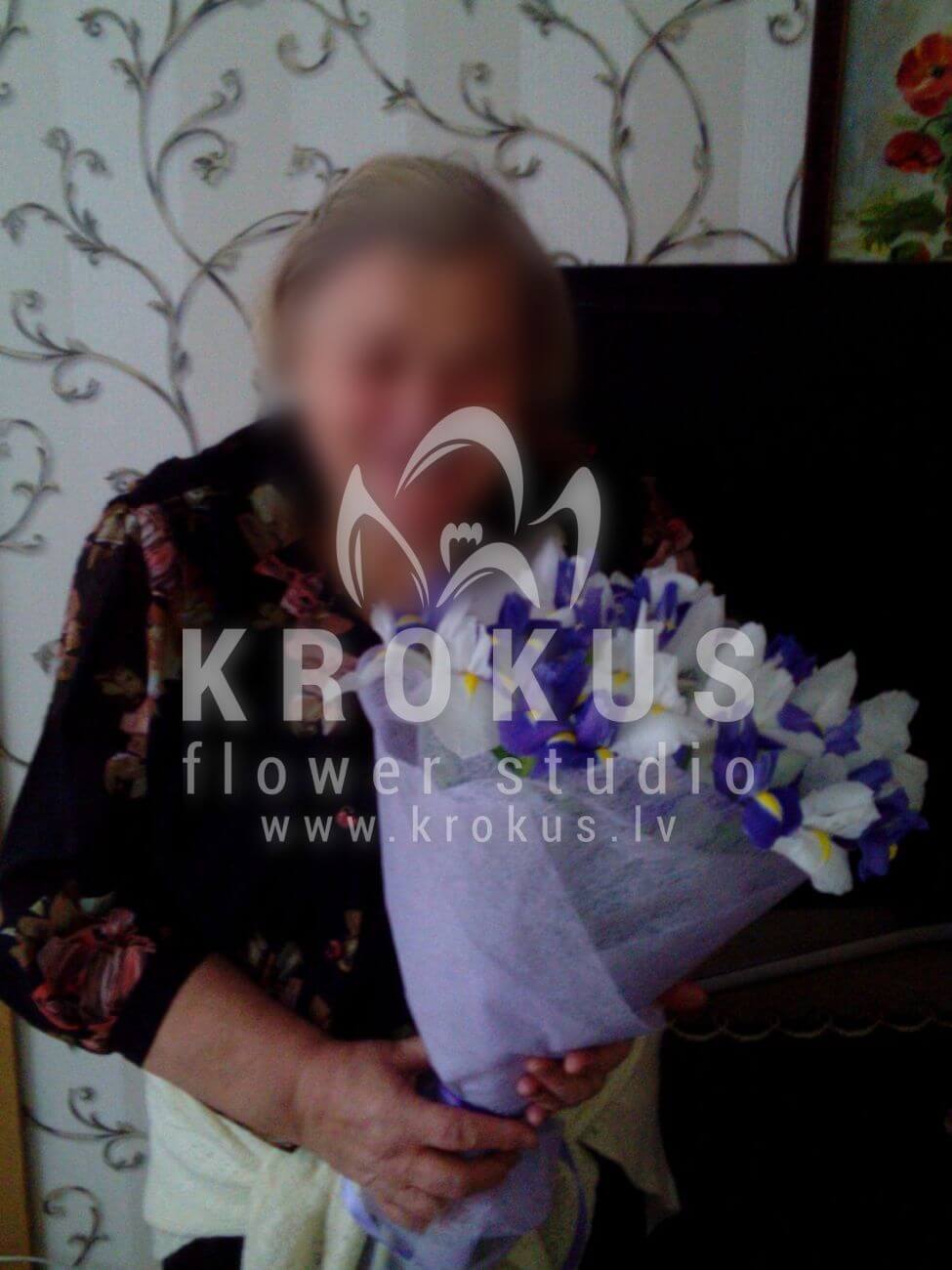 Deliver flowers to Latvia (irisesgree bell)