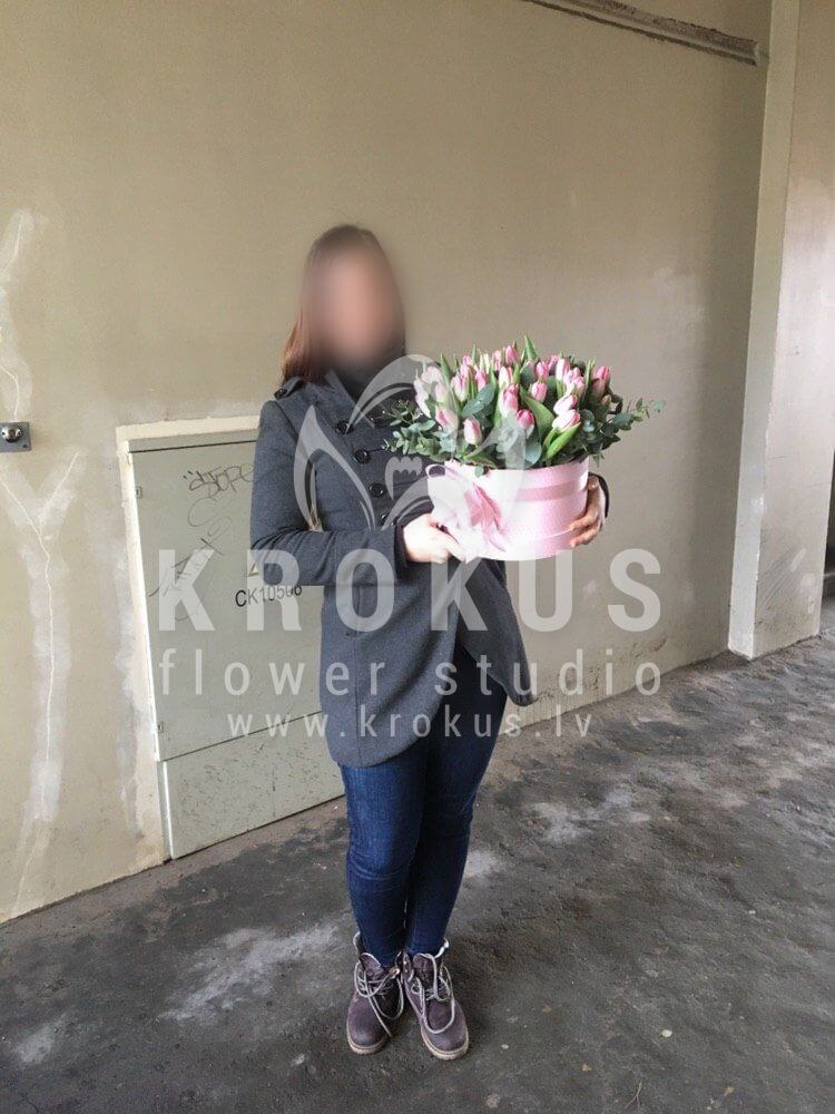 Deliver flowers to Latvia (tulipsstylish boxgum tree)