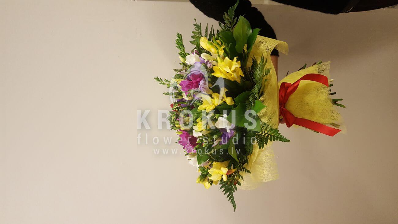 Deliver flowers to Latvia (freesiaamborella)