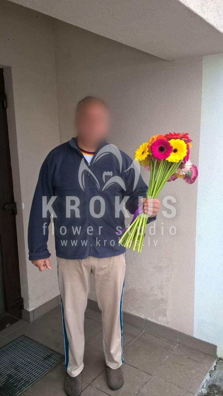Deliver flowers to Latvia (germini)