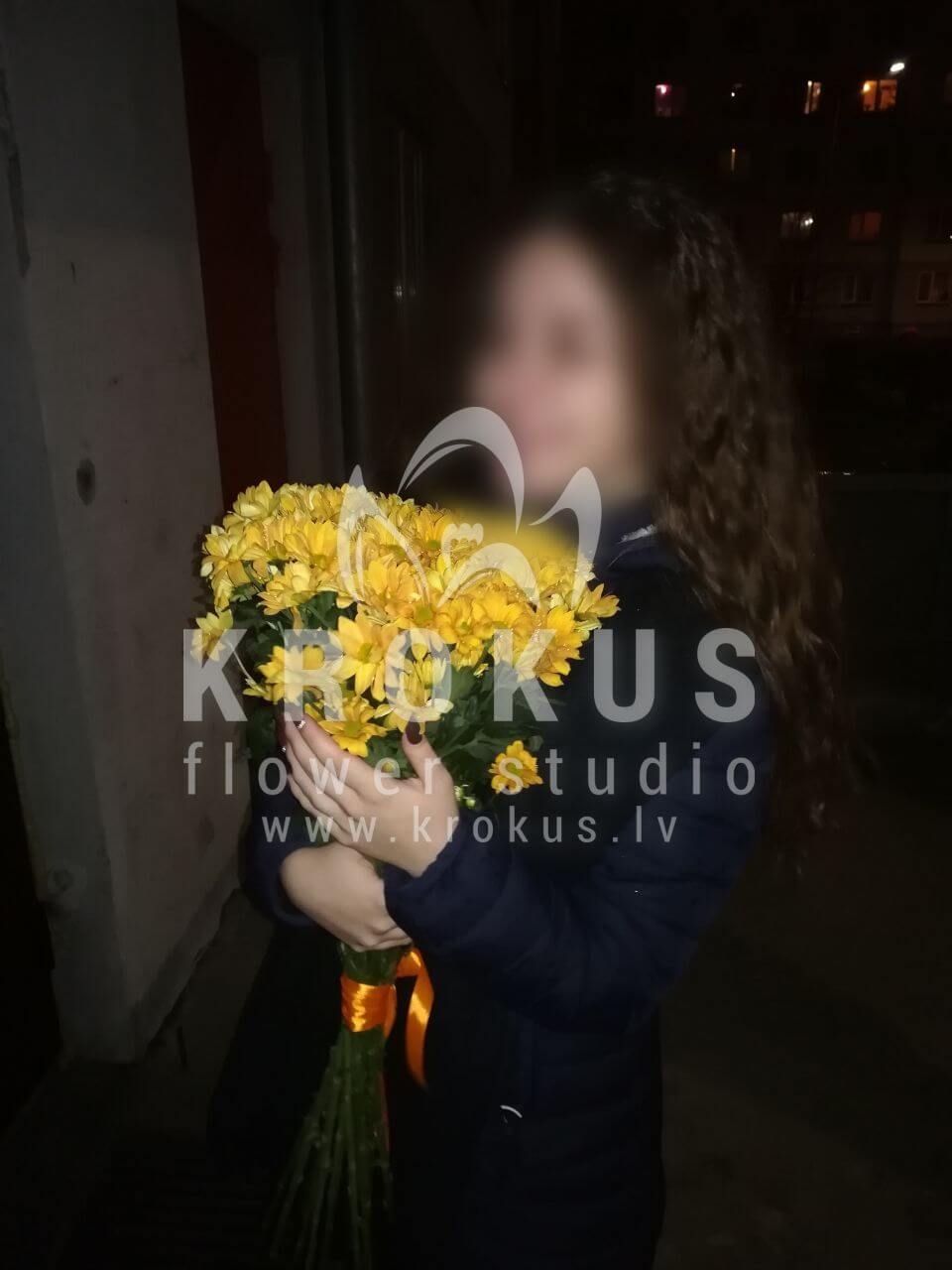 Deliver flowers to Rīga (chrysanthemumscamomiles)