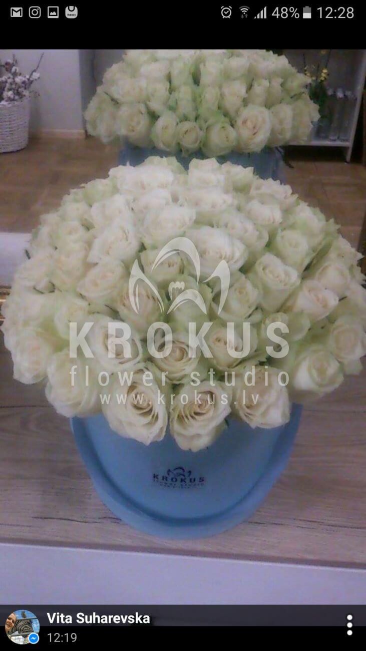 Deliver flowers to Latvia (boxwhite roses)