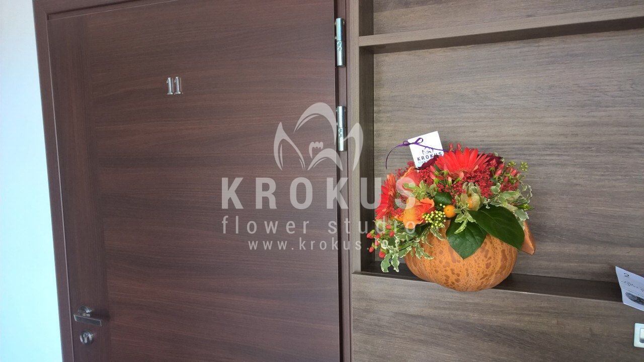 Deliver flowers to Jūrmala (ilexbrunialeucadendronleucospermumpumpkin)