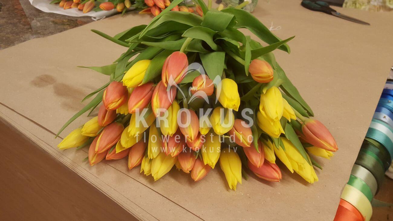 Deliver flowers to Latvia (tulips)