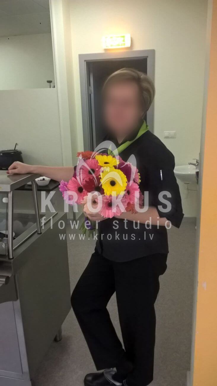 Deliver flowers to Latvia (germini)