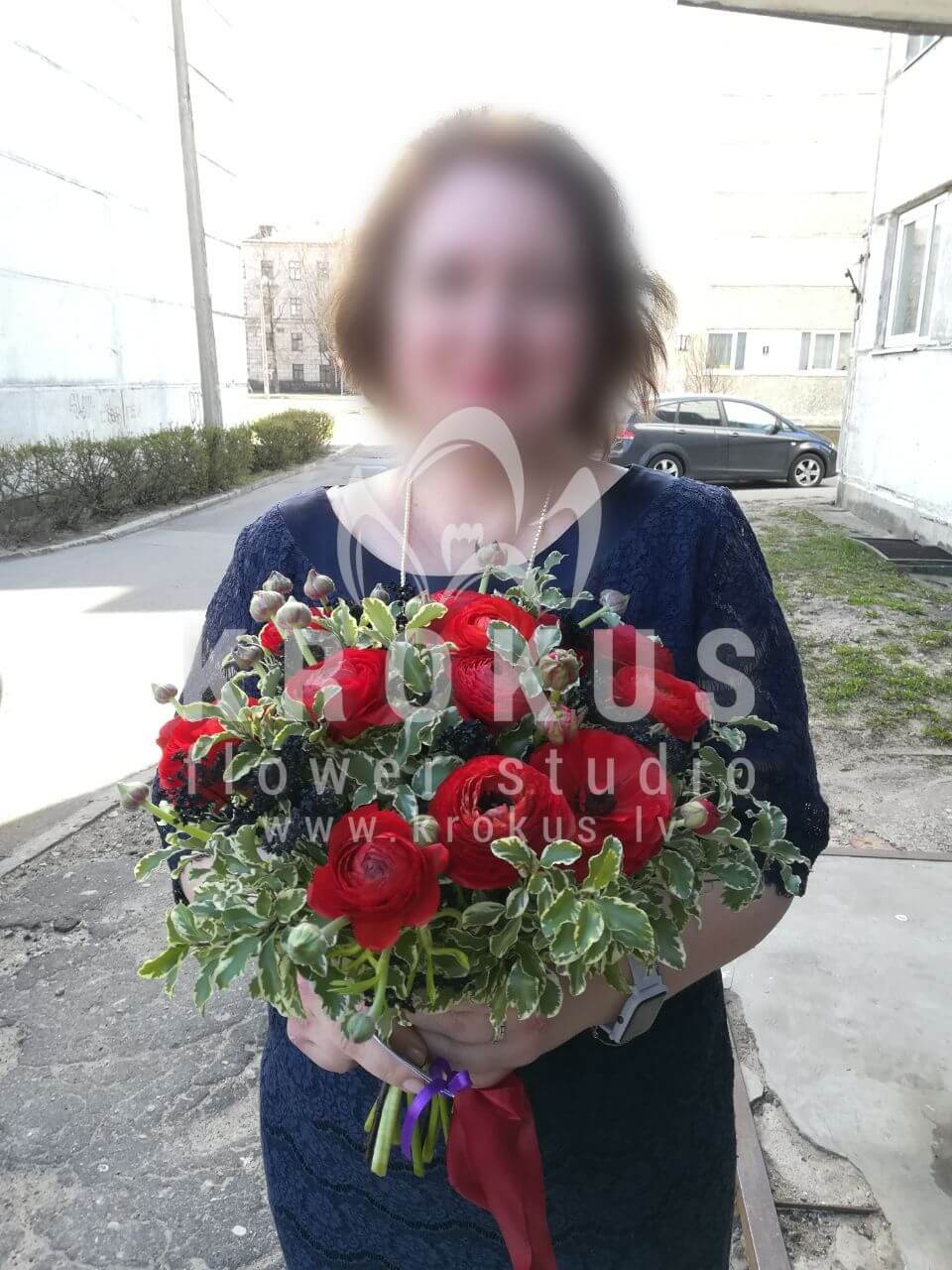 Ziedu piegāde Latvia Rīga (ranunkuļiskimmijapeonveidīgās rozespitosporassarkanas rozes)