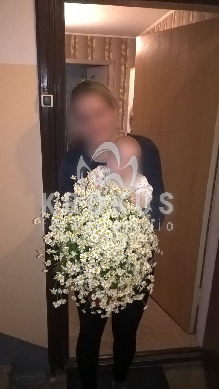 Deliver flowers to Latvia (meadow flowerscamomiles)