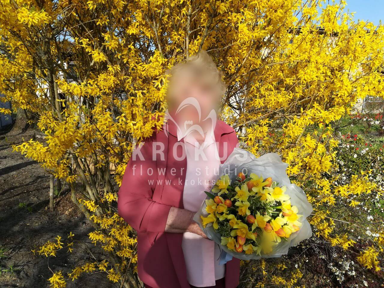 Доставка цветов в город Engure (тюльпаныфисташканарциссгениста)