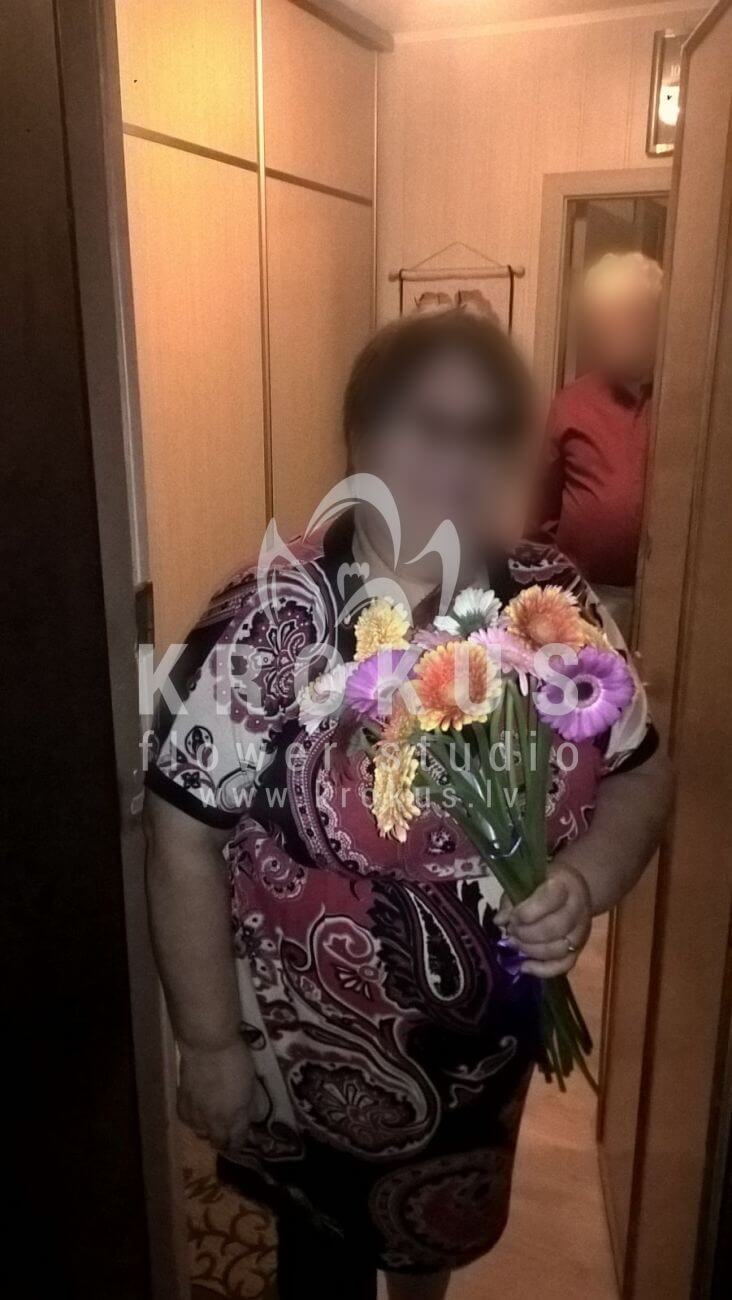 Deliver flowers to Latvia (germini)