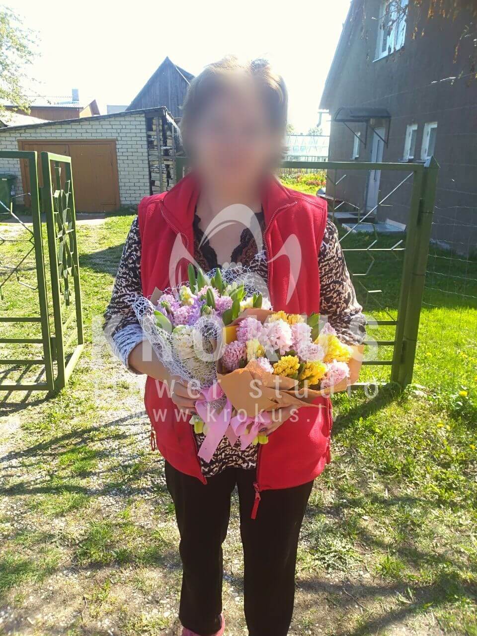 Deliver flowers to Engure (hyacinth)