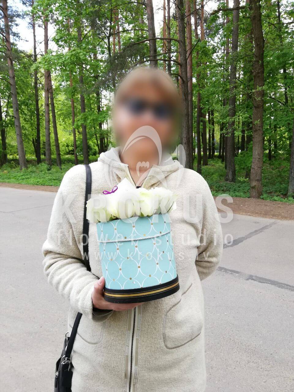 Deliver flowers to Skuķīši (cream roses)