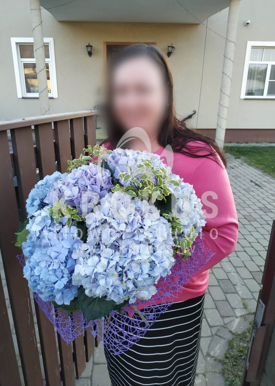 Ziedu piegāde Latvia Lapsas (īrissgreen bell)