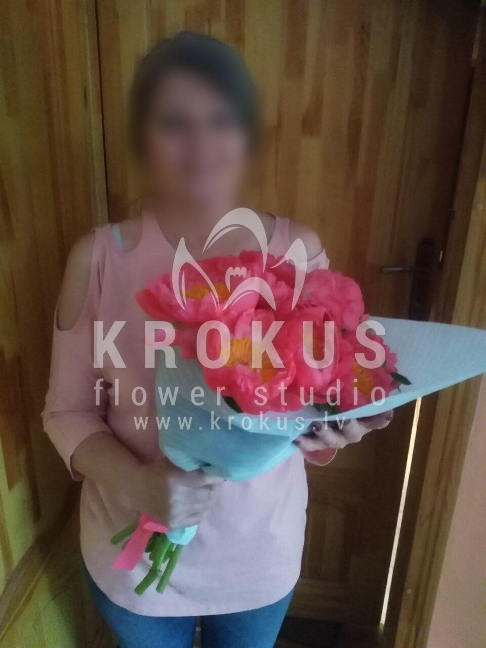 Доставка цветов в город Tukums (пионы)