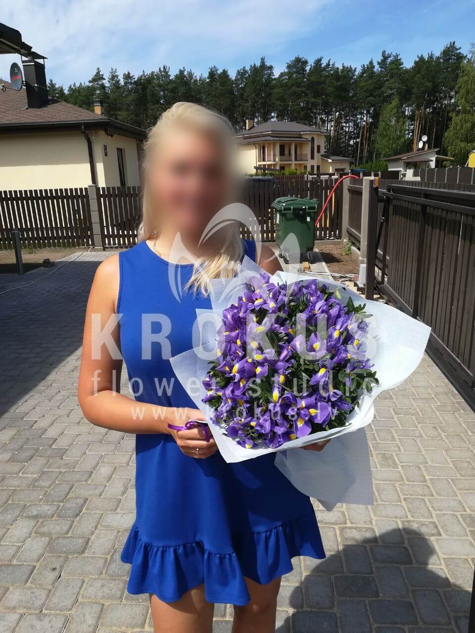 Deliver flowers to Dreiliņi (irisesgree bell)
