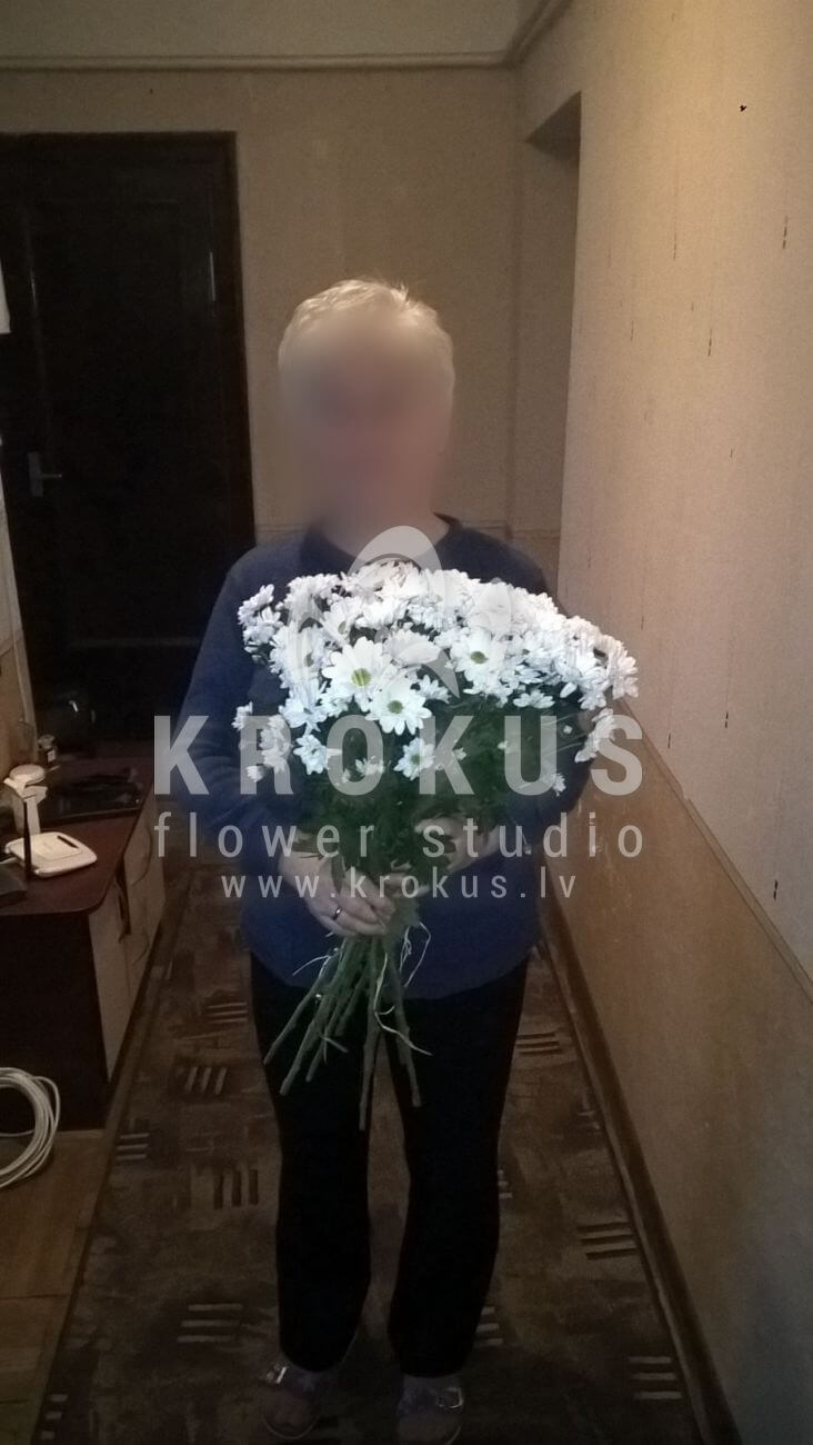 Deliver flowers to Latvia (chrysanthemumscamomiles)