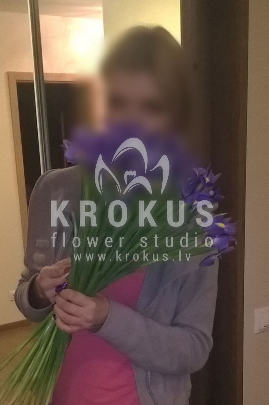 Доставка цветов в город Latvia (ирисы)