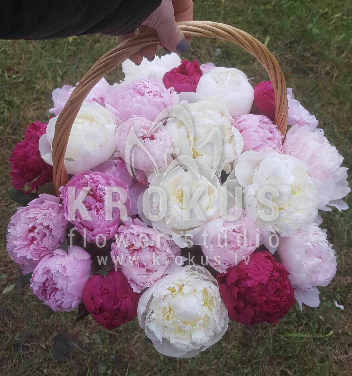 Deliver flowers to Latvia (peonies)