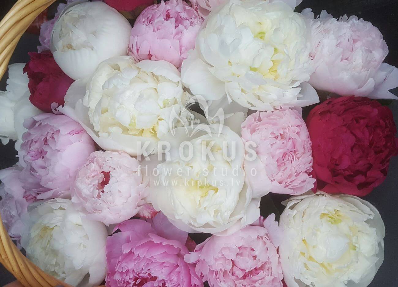 Deliver flowers to Latvia (peonies)