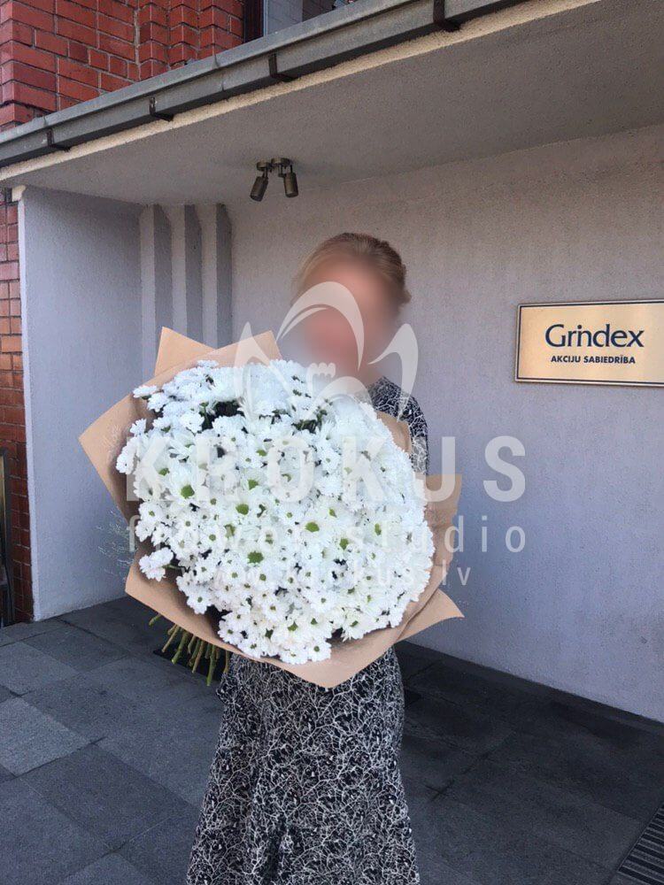 Доставка цветов в город Рига (ромашки)