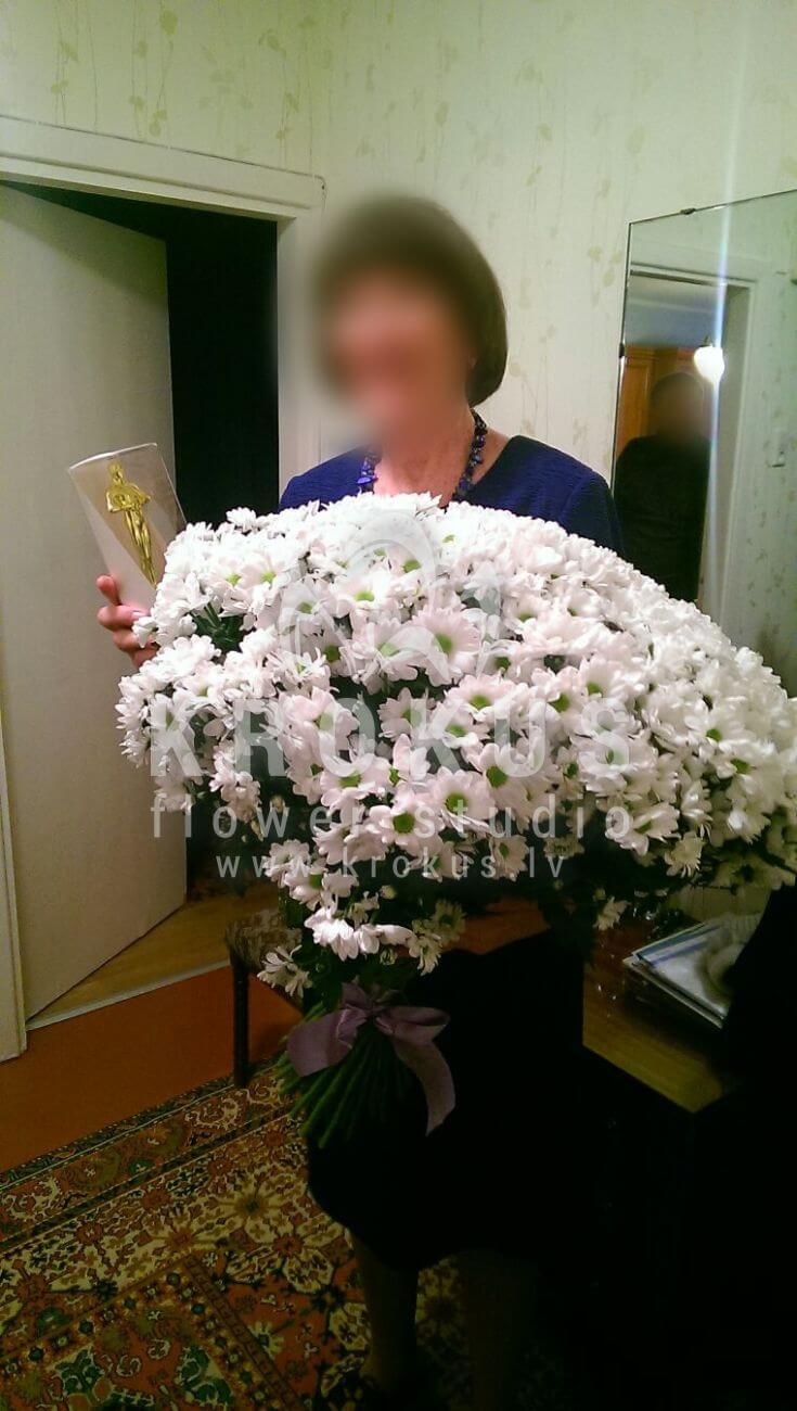 Deliver flowers to Latvia (chrysanthemumscamomiles)