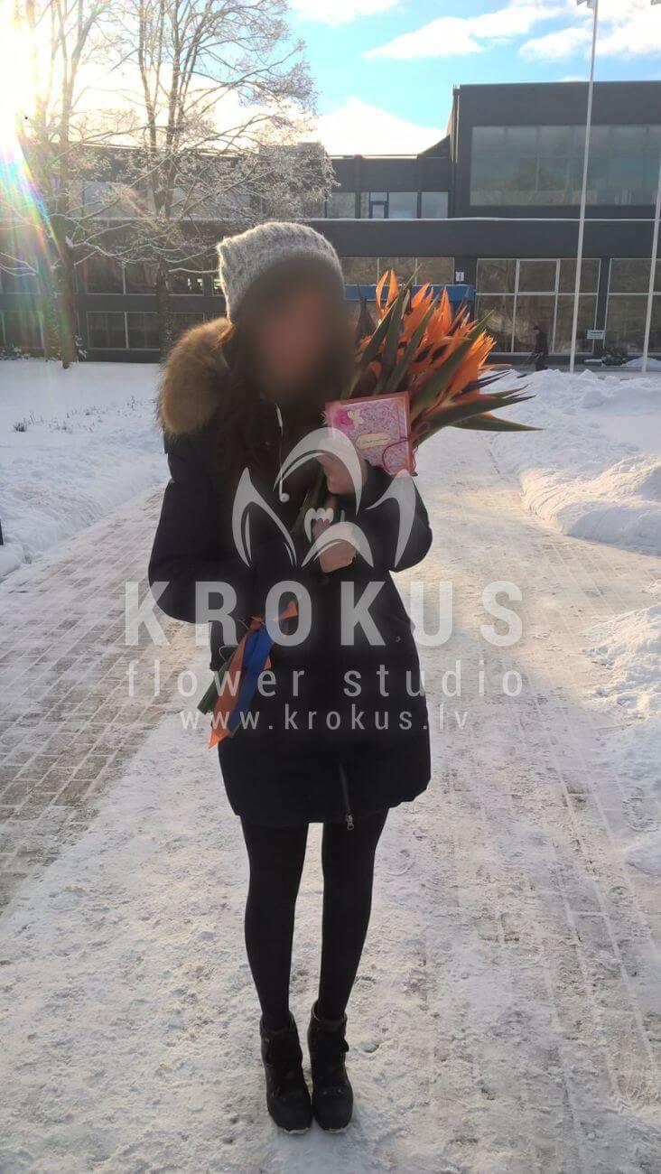 Deliver flowers to Latvia (bird of paradise flower)