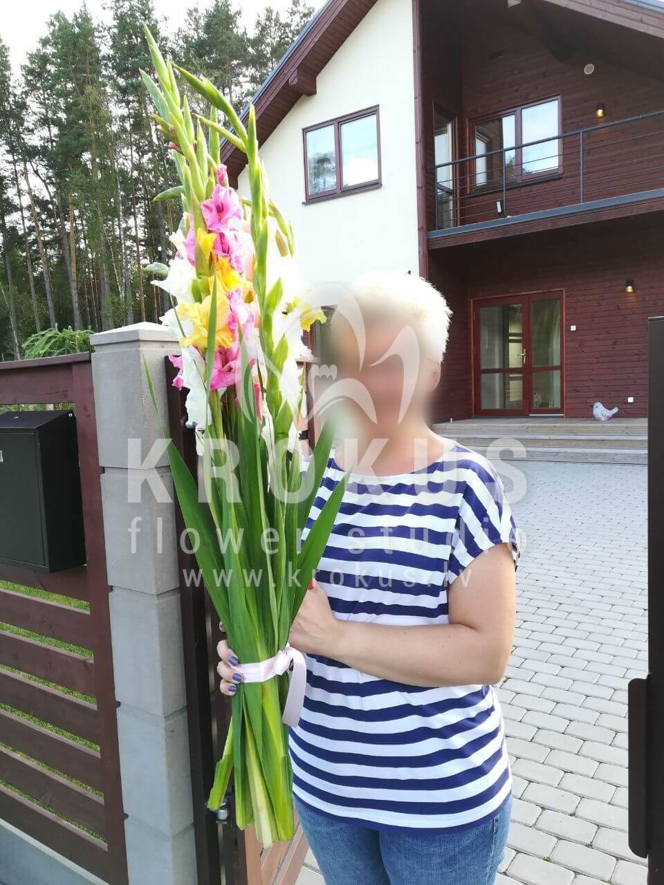 Deliver flowers to Lapsas (gladioli)