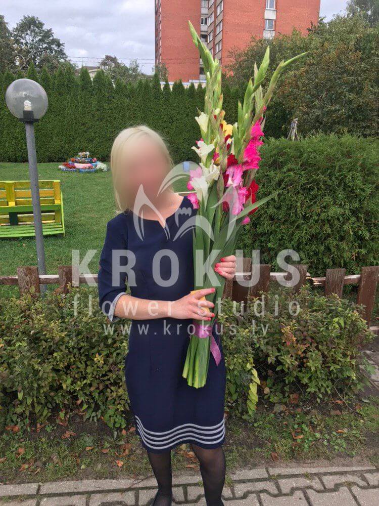 Deliver flowers to Rīga (gladioli)