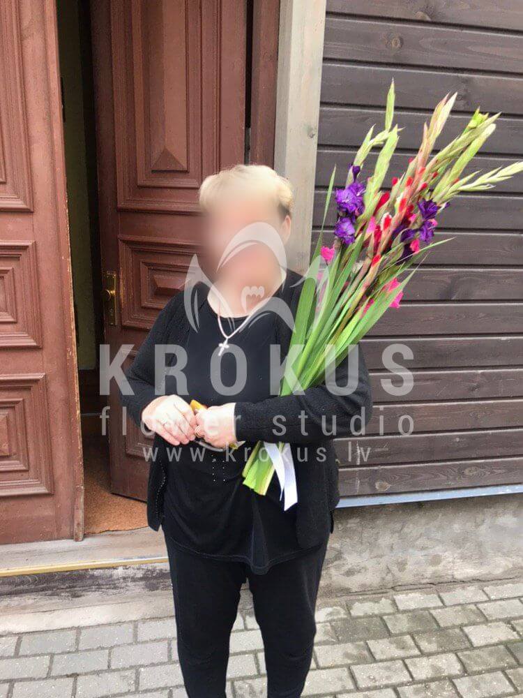 Deliver flowers to Rīga (gladioli)