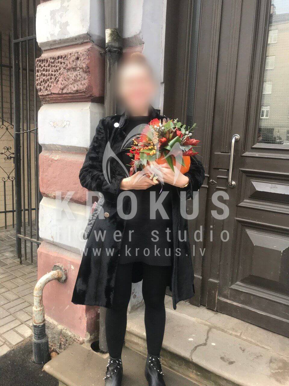 Deliver flowers to Rīga (ilexbrunialeucadendronleucospermumpumpkin)