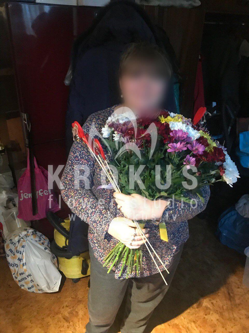 Deliver flowers to Rīga (chrysanthemums)