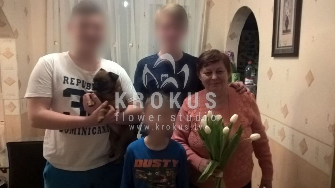 Deliver flowers to Latvia (cloves)