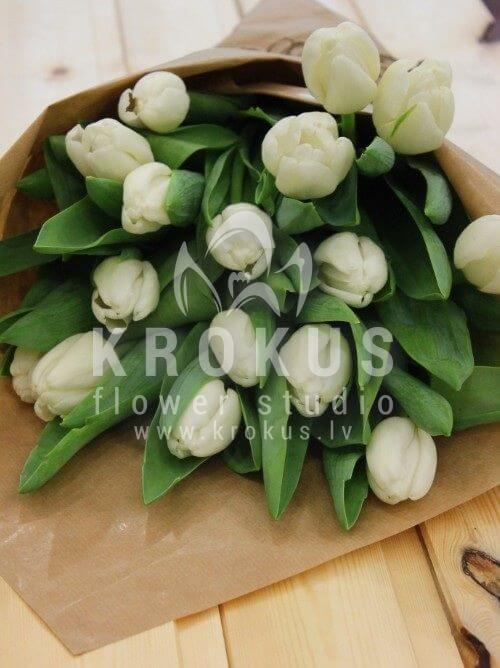 Deliver flowers to Latvia (tulips)