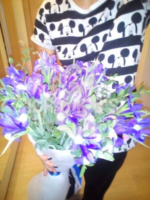 Deliver flowers to Latvia (irisesgree bell)