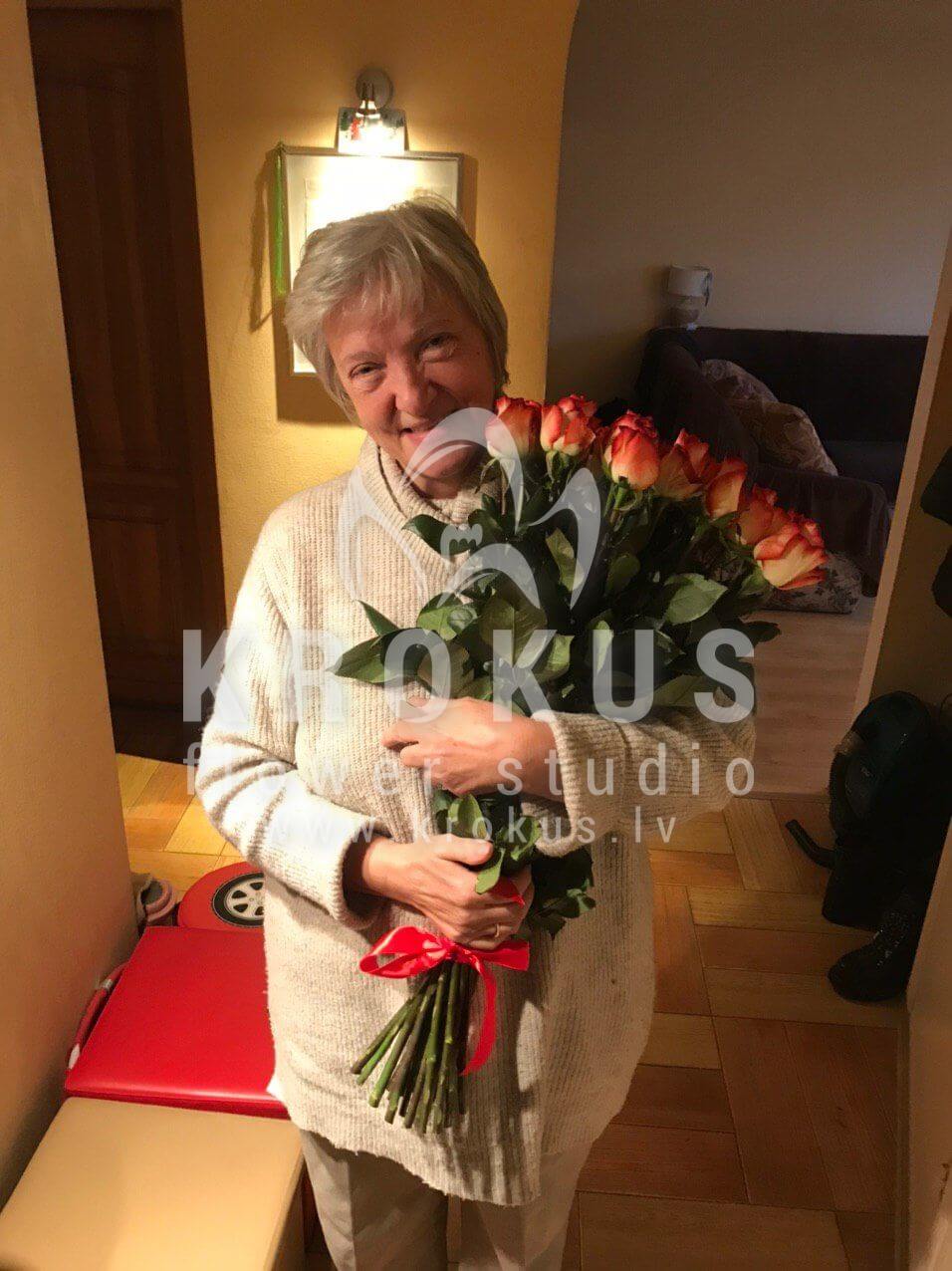 Deliver flowers to Rīga (bicolor roses)