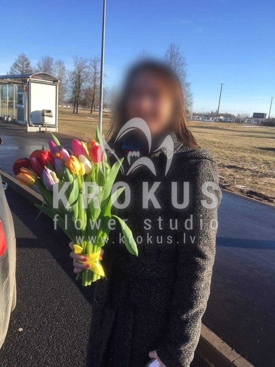 Deliver flowers to Latvia (tulips)